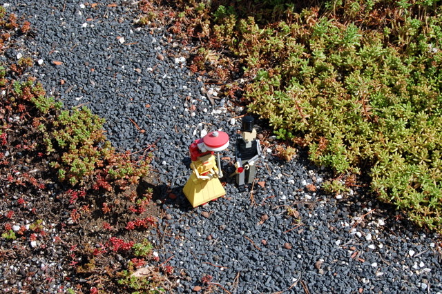 dsc_2675.jpg