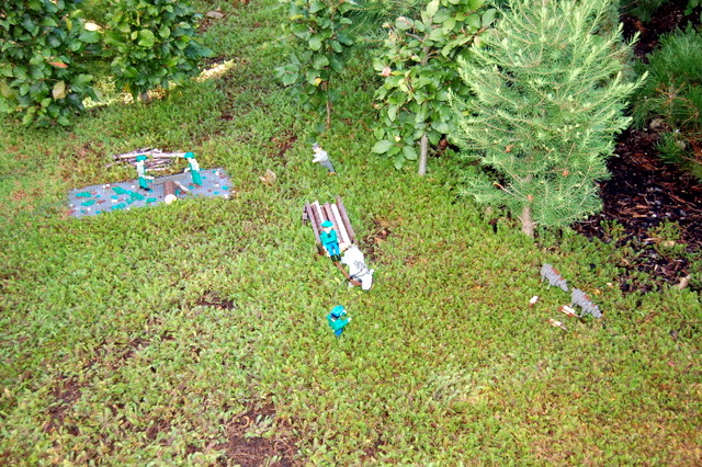 dsc_2679.jpg