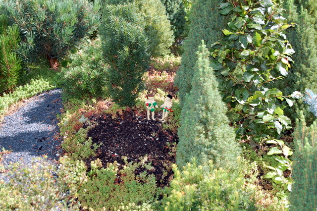 dsc_2680.jpg