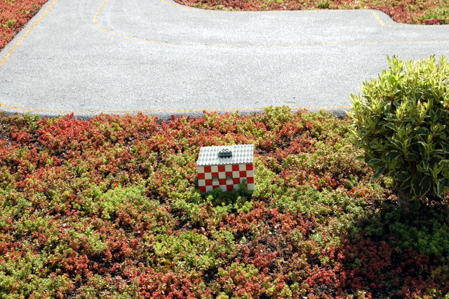 dsc_2712.jpg