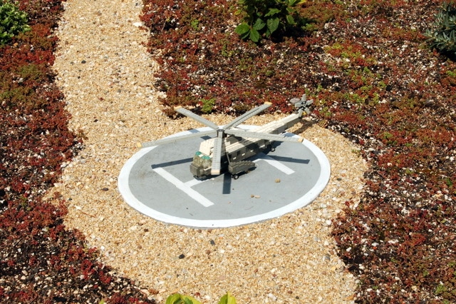 dsc_2765.jpg