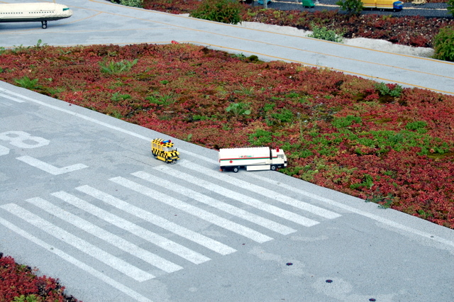 dsc_2776.jpg