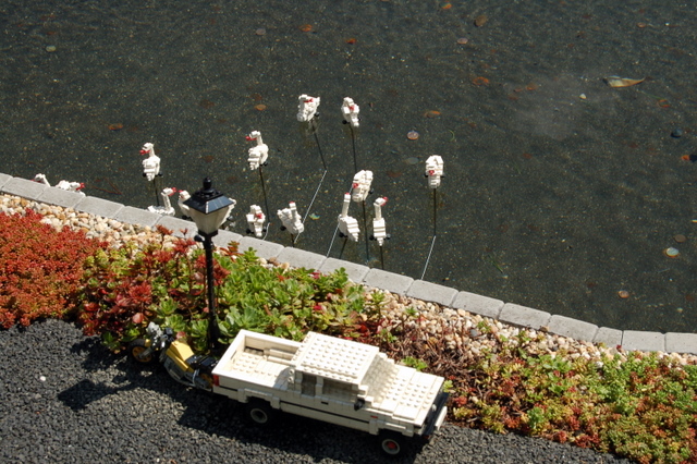dsc_2830.jpg