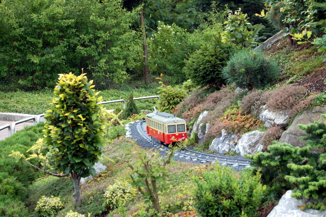 dsc_2868.jpg