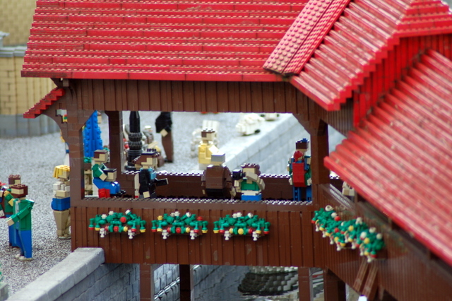 dsc_2927.jpg