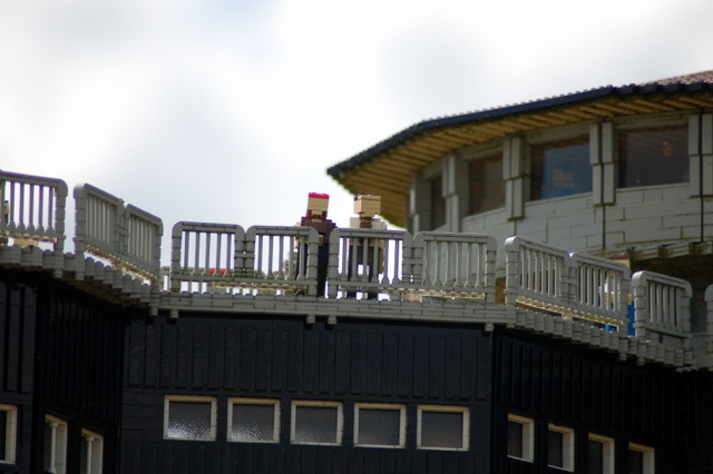 dsc_2954.jpg