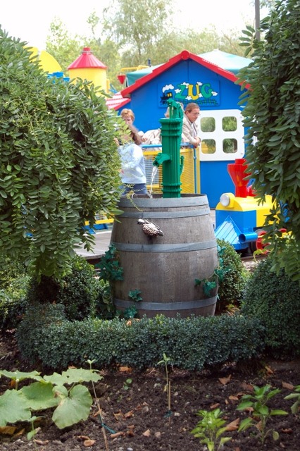 dsc_2988.jpg