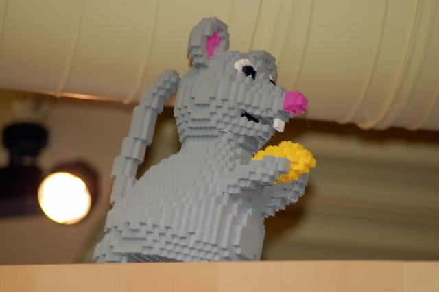 dsc_3000.jpg