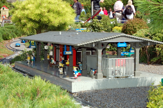 dsc_3109.jpg