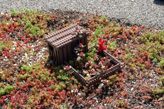 dsc_3119.jpg