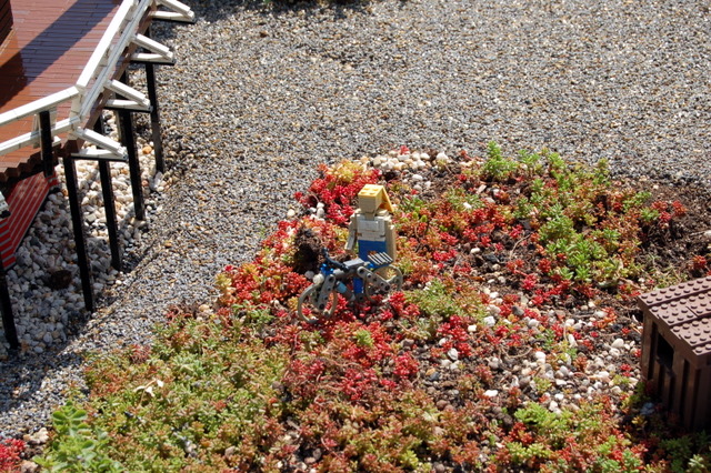 dsc_3120.jpg