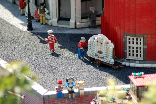 dsc_3131.jpg