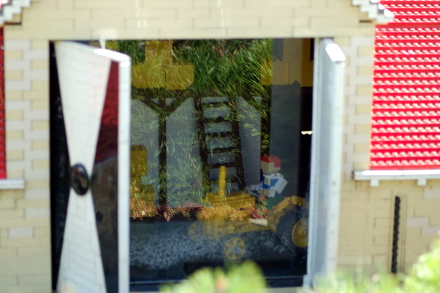 dsc_3156.jpg