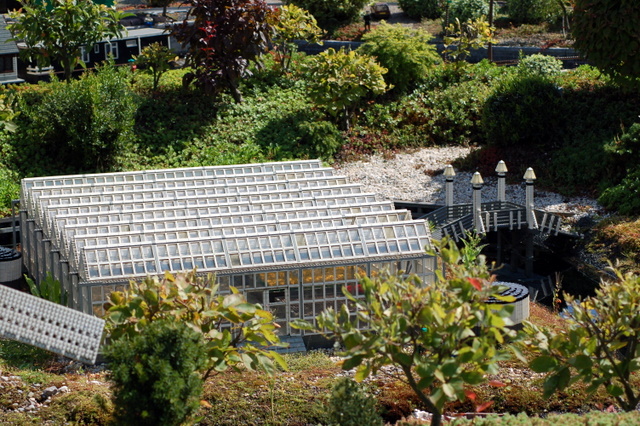 dsc_3165.jpg