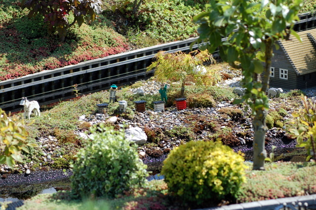 dsc_3169.jpg
