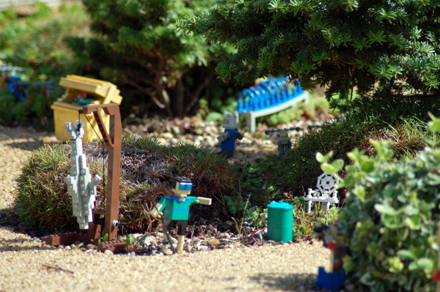 dsc_3186.jpg