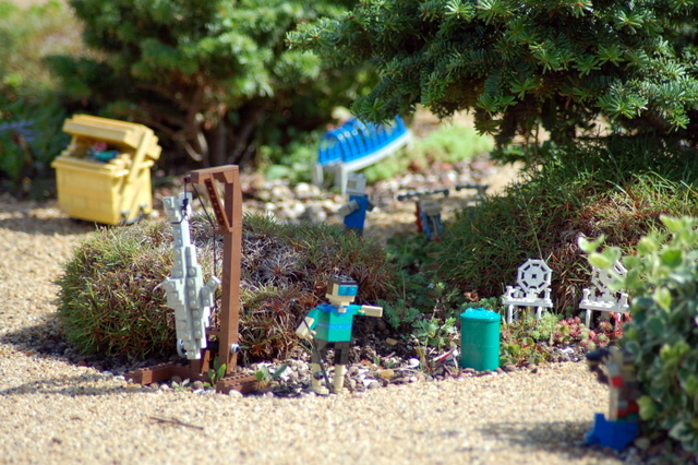 dsc_3187.jpg