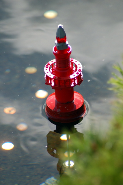 dsc_3229.jpg