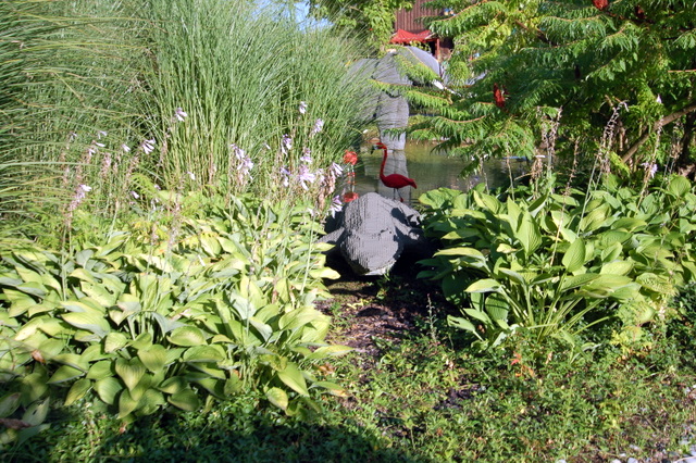 dsc_3431.jpg