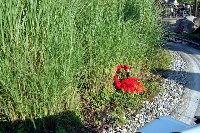 dsc_3432.jpg