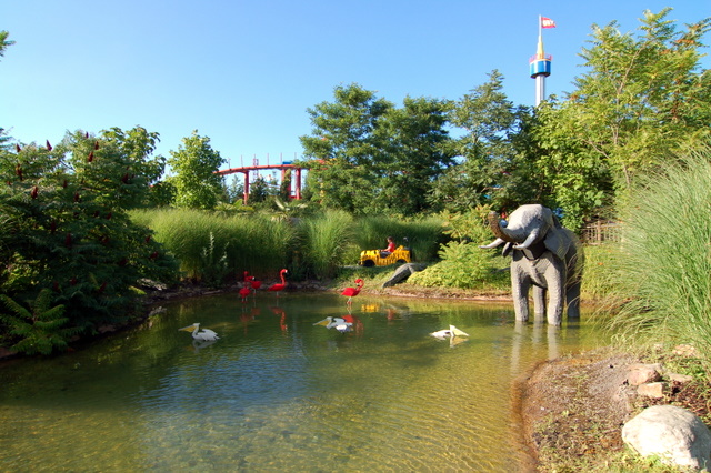 dsc_3434.jpg