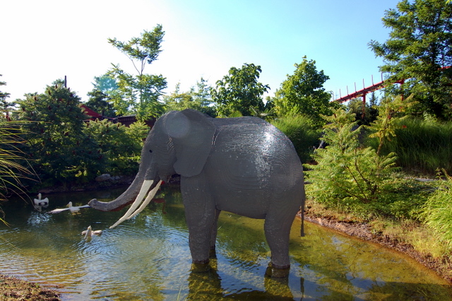 dsc_3435.jpg
