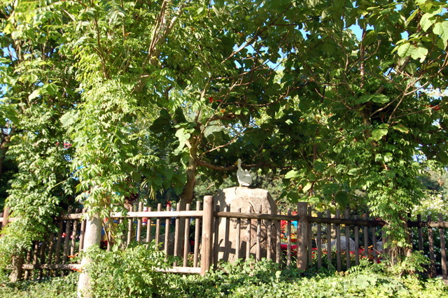 dsc_3436.jpg