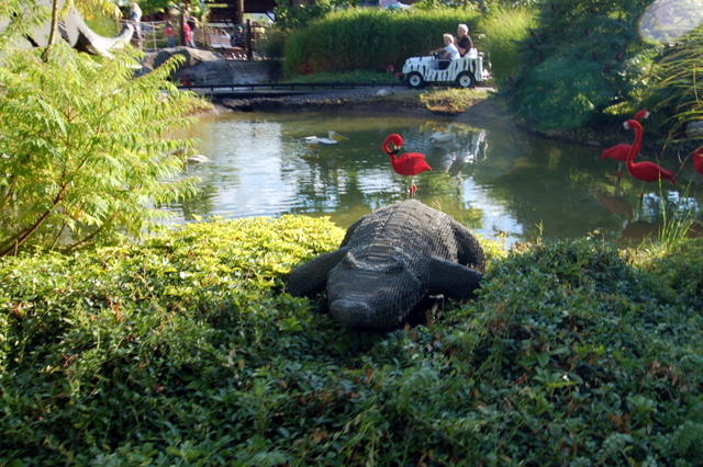dsc_3438.jpg