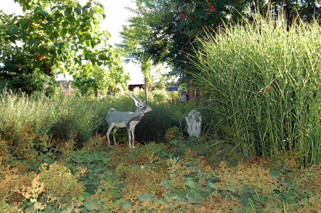 dsc_3442.jpg
