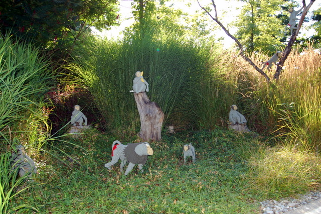 dsc_3443.jpg