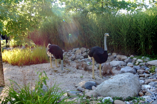 dsc_3444.jpg