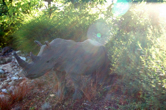 dsc_3447.jpg