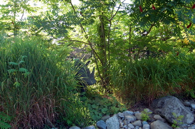 dsc_3452.jpg