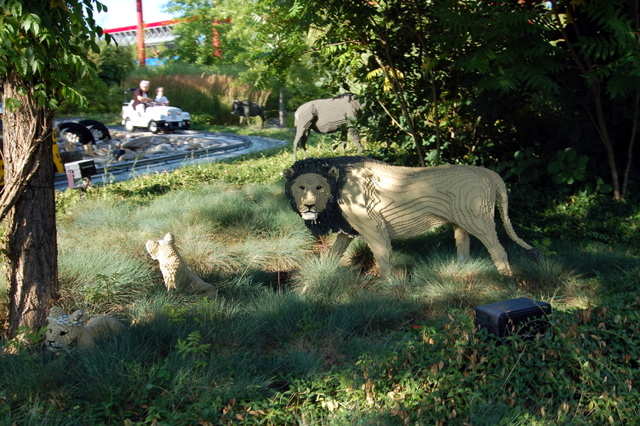 dsc_3454.jpg