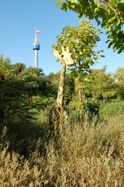 dsc_3455.jpg