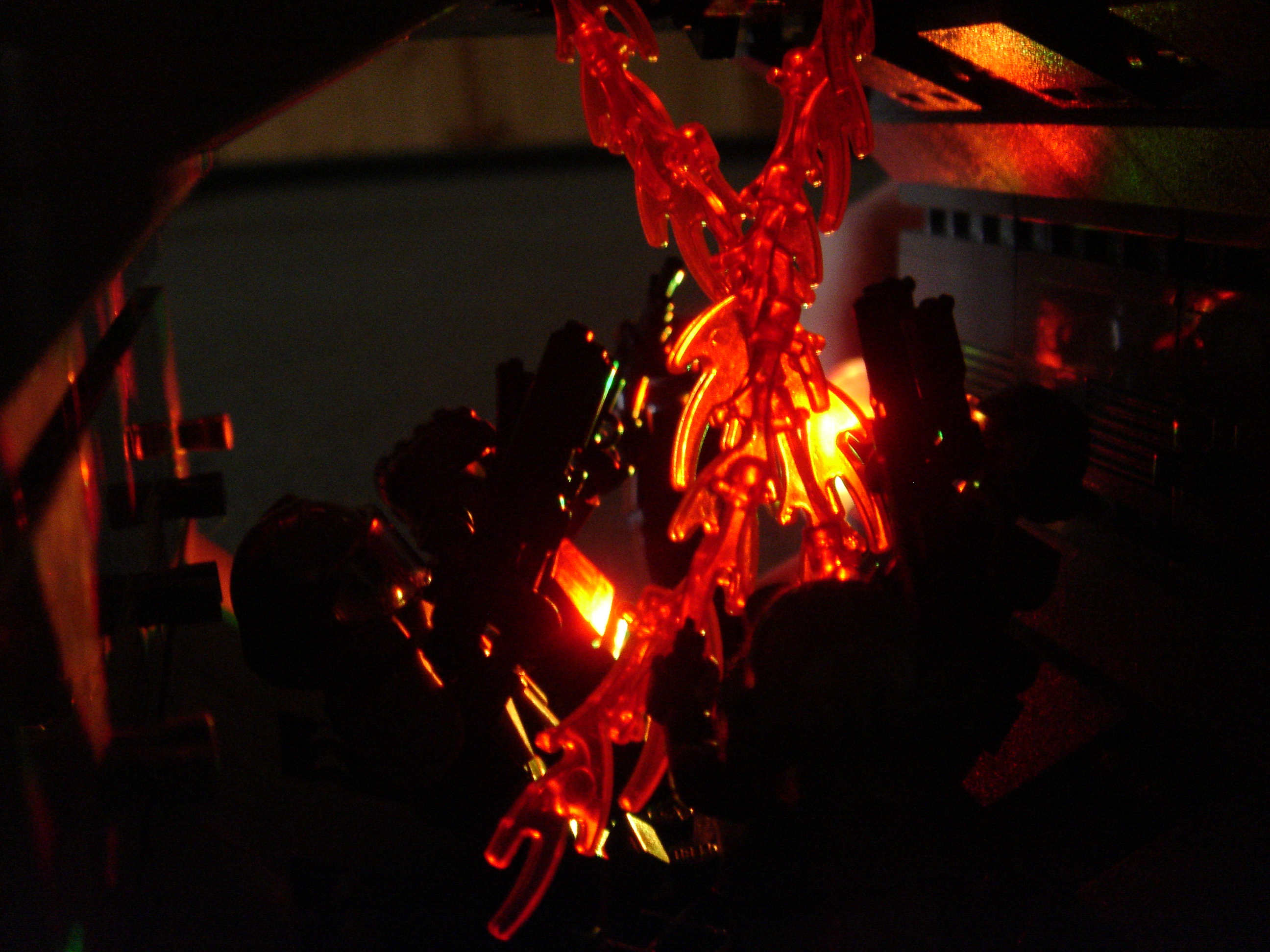 dsc02895.jpg