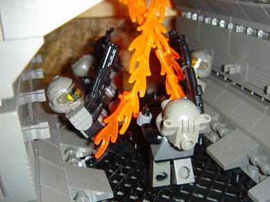 resized2.jpg