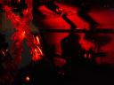 dsc02916.jpg