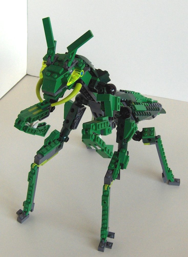 mantis02.jpg