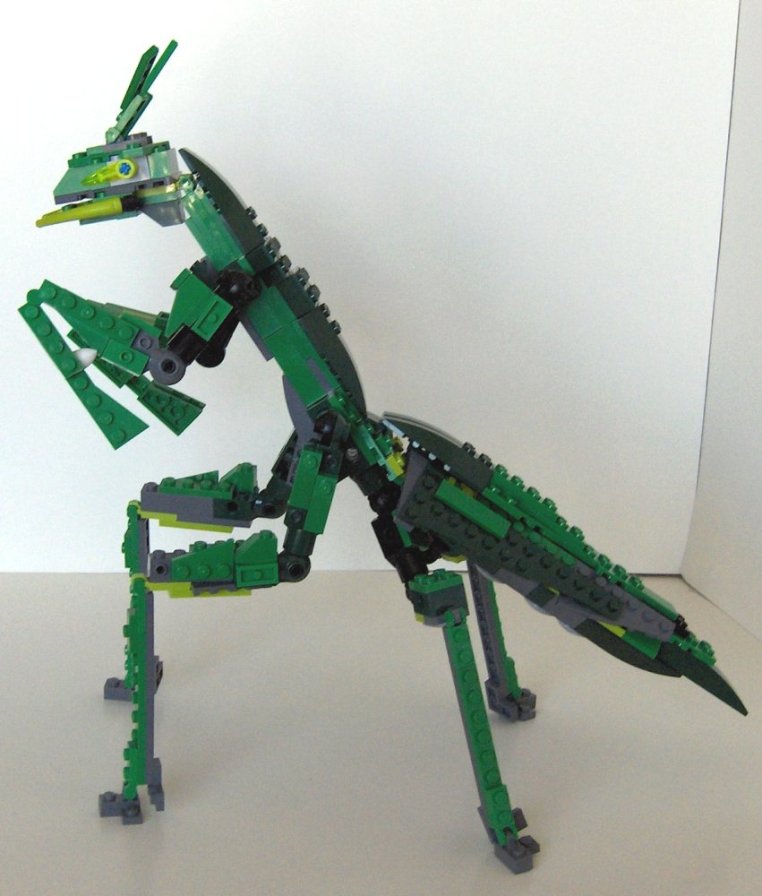 mantis03.jpg