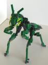 mantis02.jpg