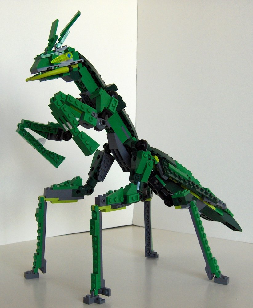 mantis00.jpg
