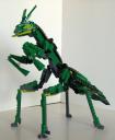 Mantis