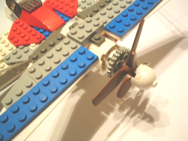 faucon02.jpg