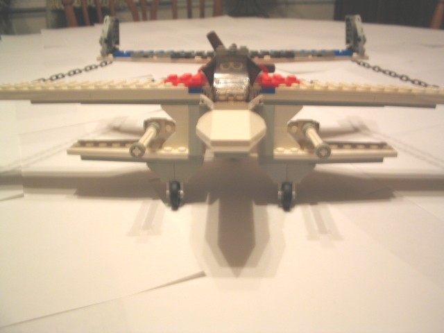 faucon03.jpg