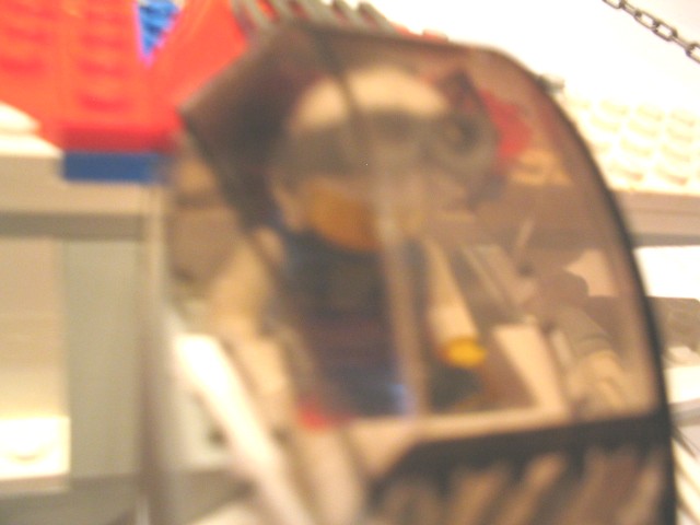 faucon04.jpg