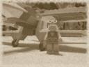 faucon07b.jpg