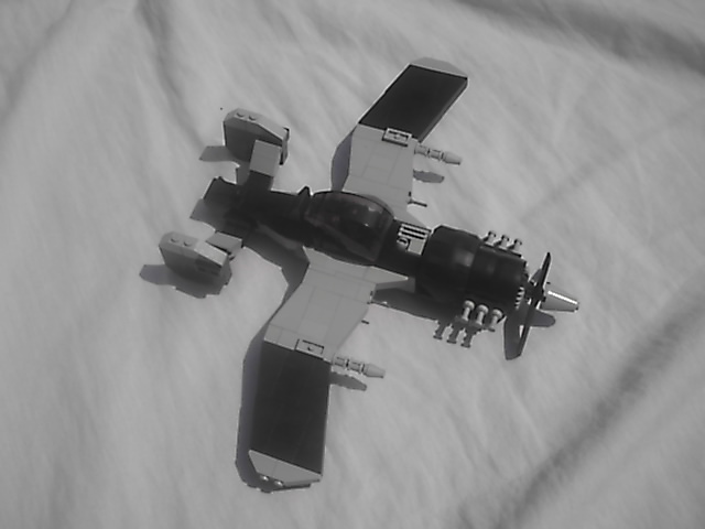 schwarzeradler02.jpg