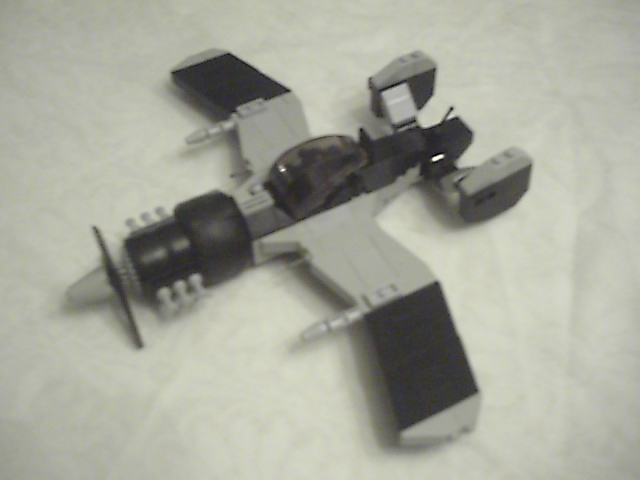 schwarzeradler06.jpg