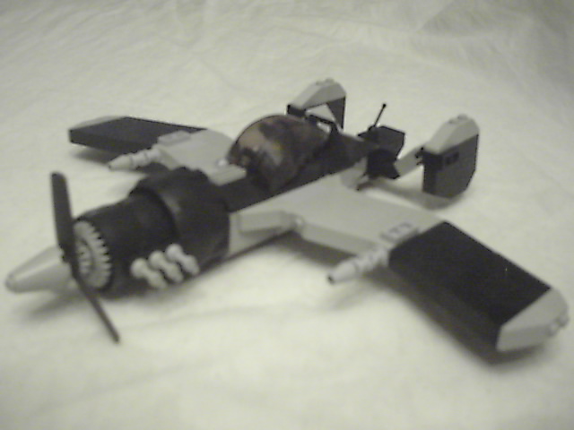 schwarzeradler07.jpg